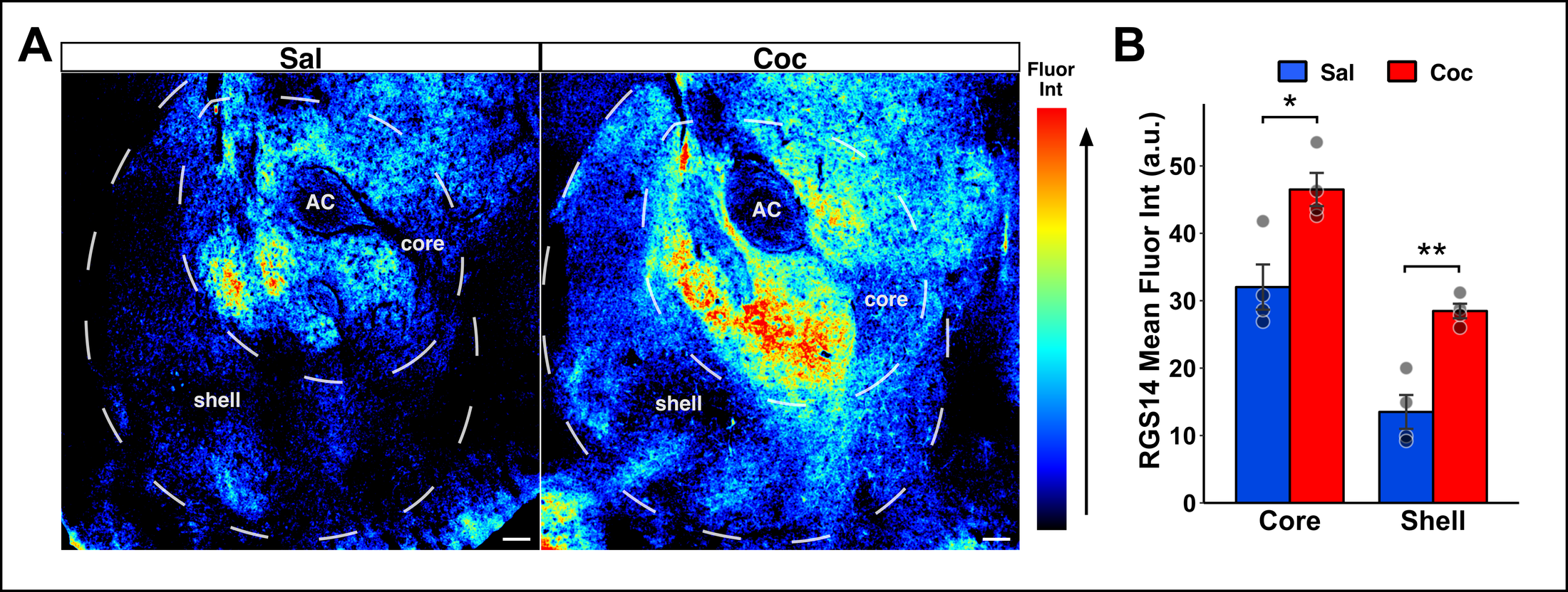 Addiction Neuroscience Figure 3