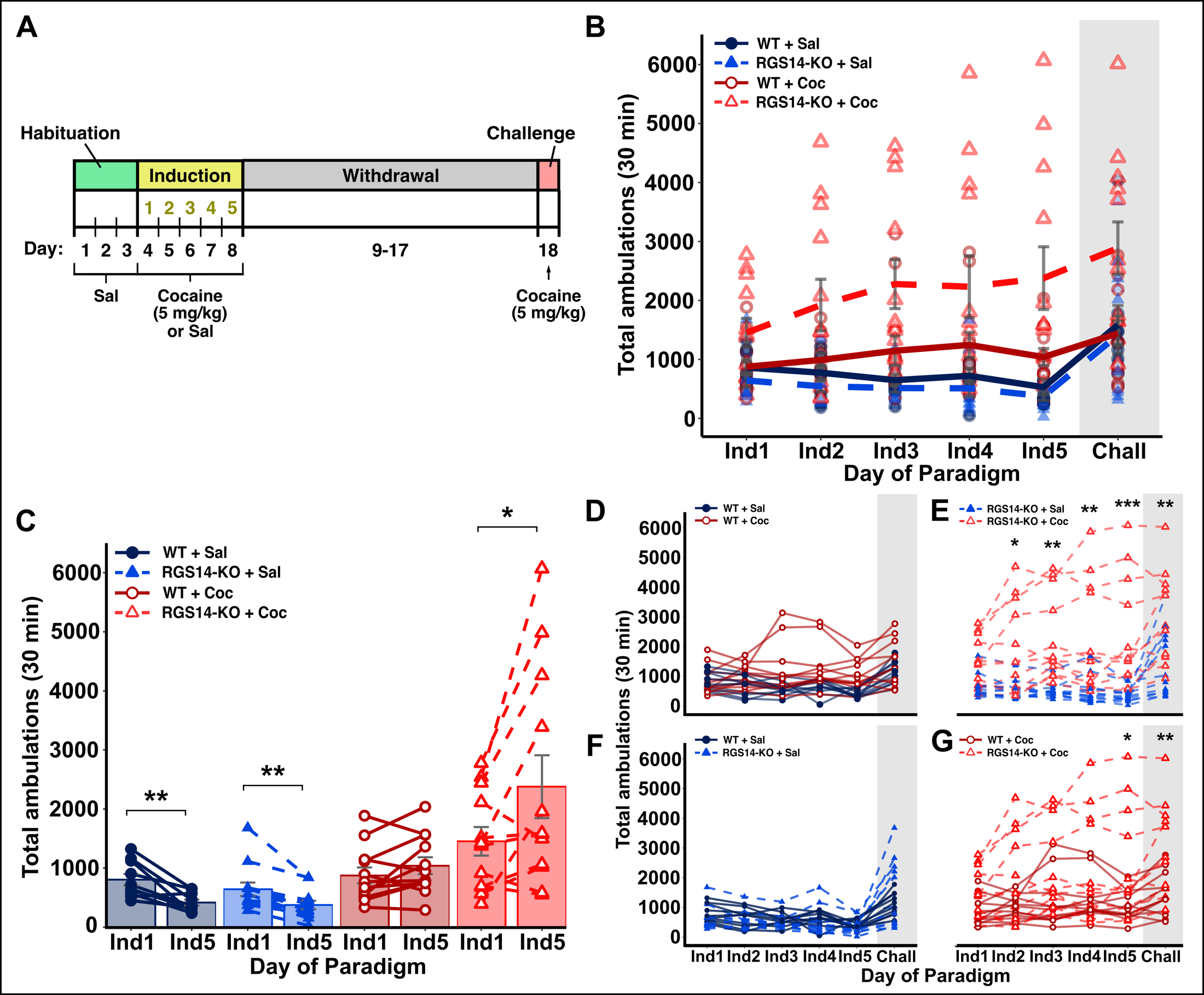 Addiction Neuroscience Figure 4