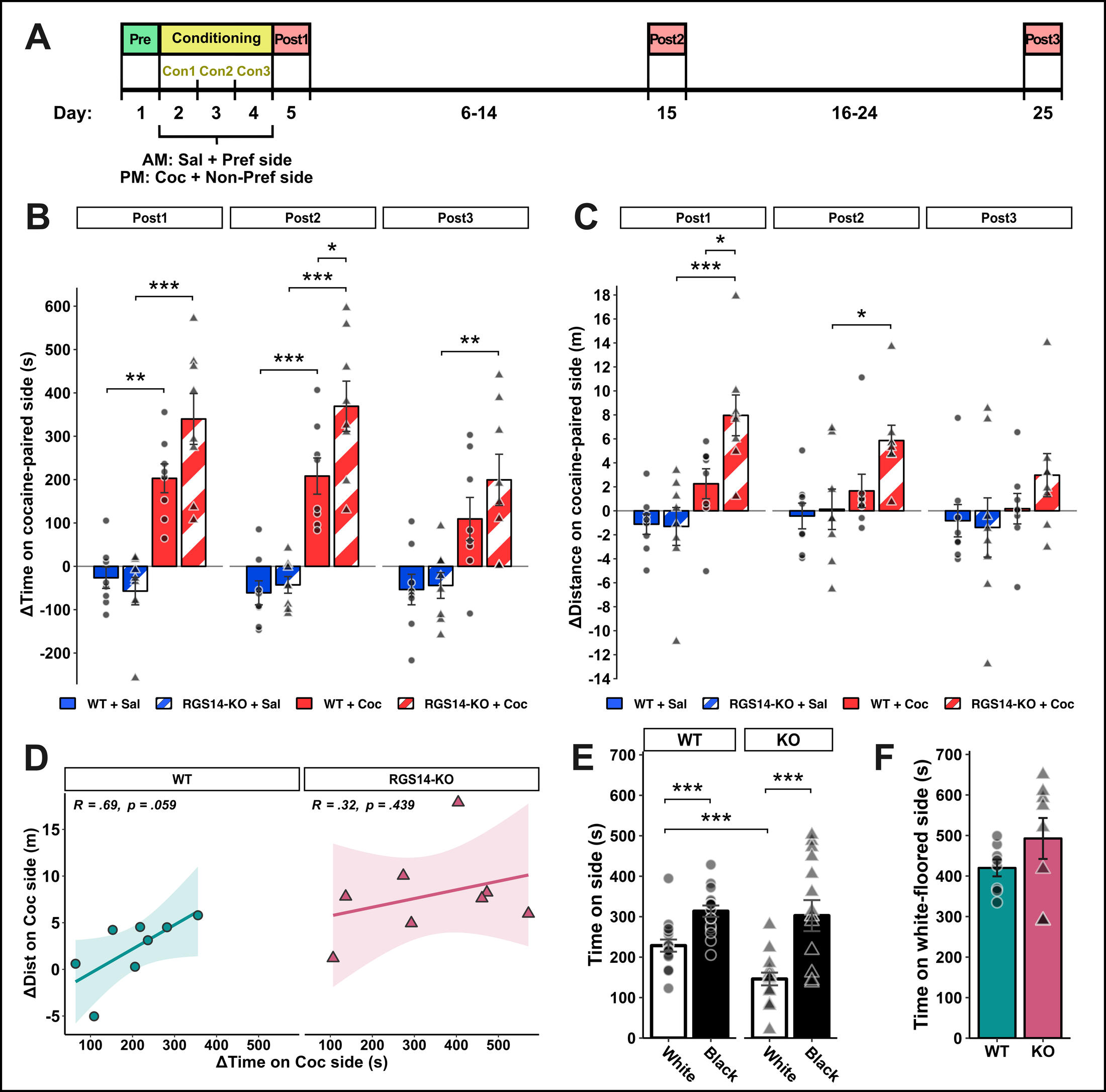 Addiction Neuroscience Figure 5