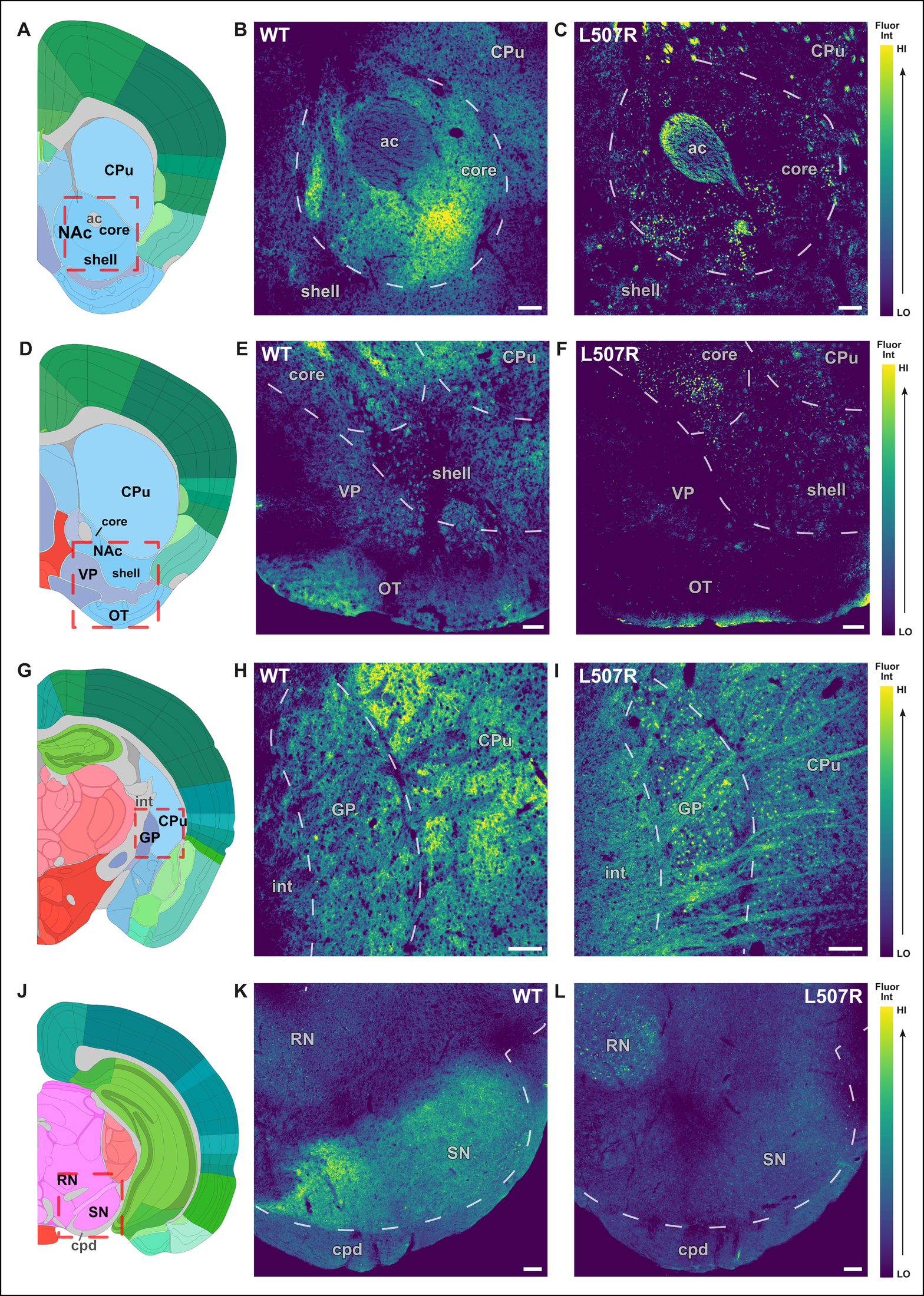 EJN Figure 10