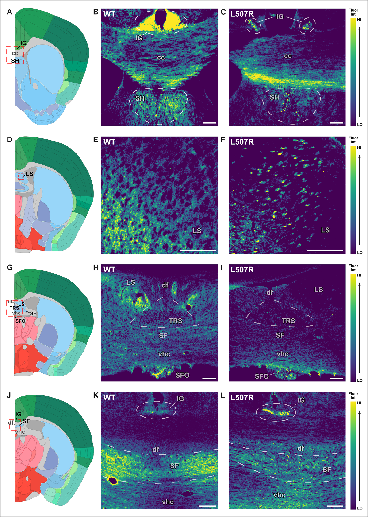 EJN Figure 6