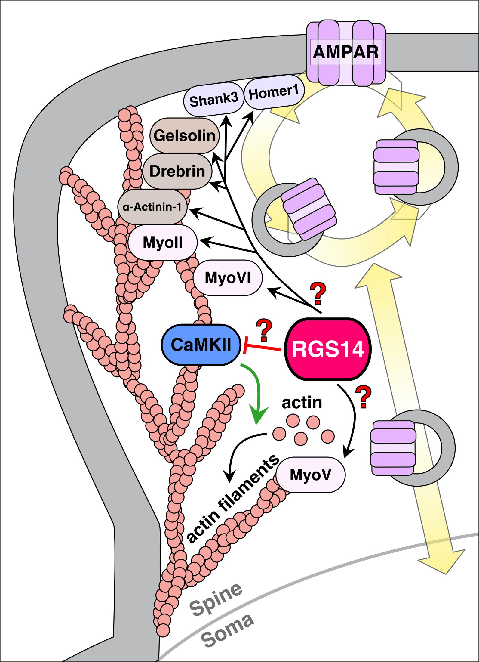 Structural biology sub-figure